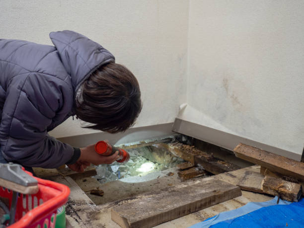 Best Comprehensive Air Testing for Mold Contaminants  in Troy, AL