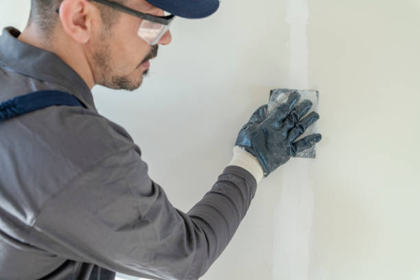 Best Basement Mold Removal  in Troy, AL