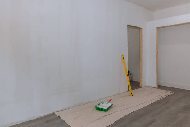 Best Attic Mold Removal  in Troy, AL
