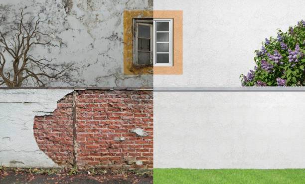 Best Mold Damage Restoration  in Troy, AL